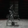 Hammer Strength Plate-Loaded Abdominal Oblique Crunch